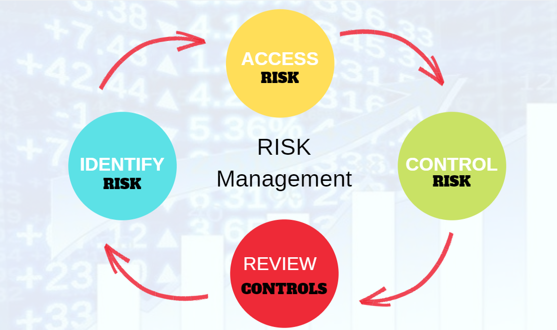 what is risk management? how to lean risk mangement ? risk management course?